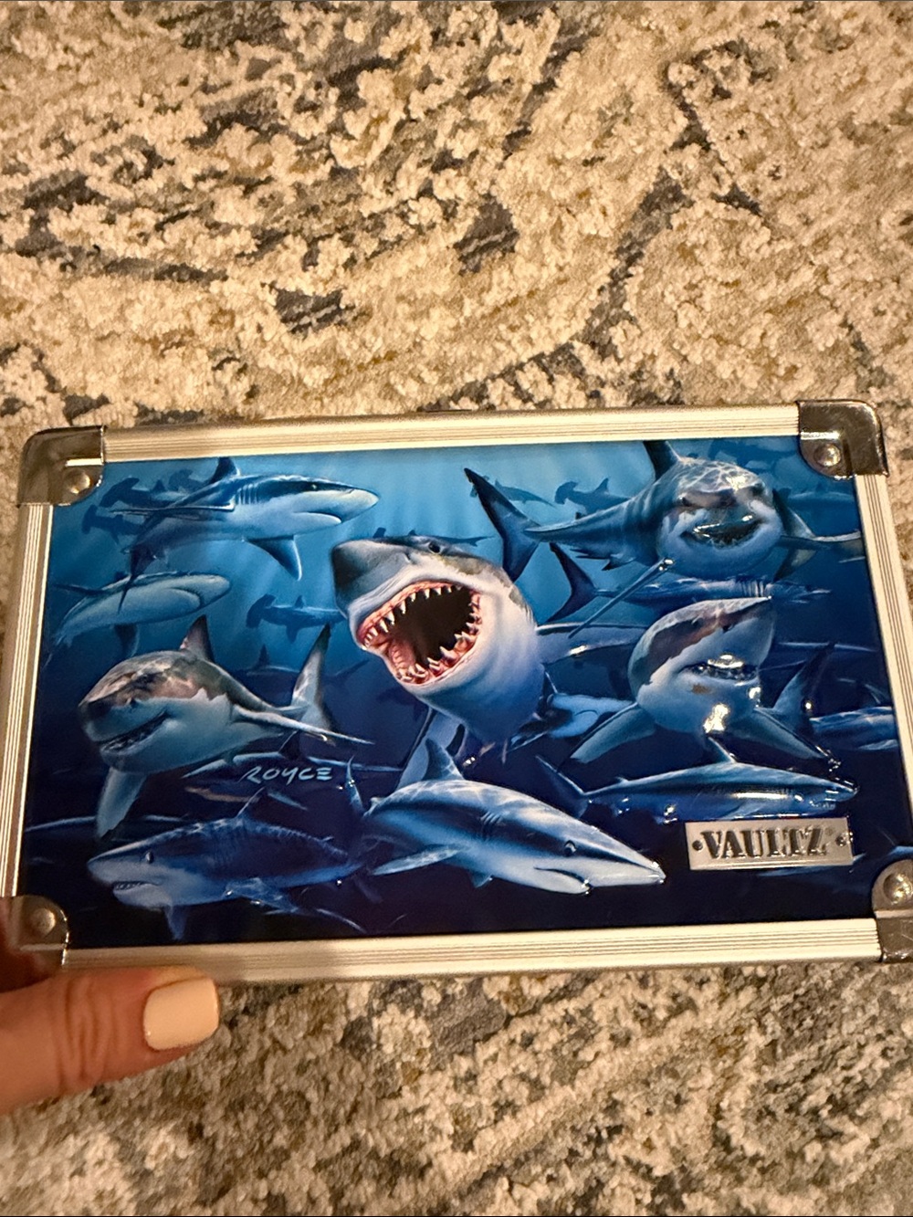 Vaultz 3D pencil / travel box